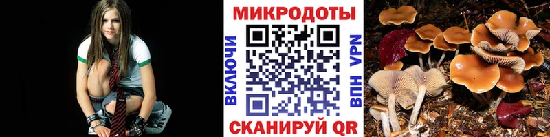 Галлюциногенные грибы прущие грибы  Великий Устюг 